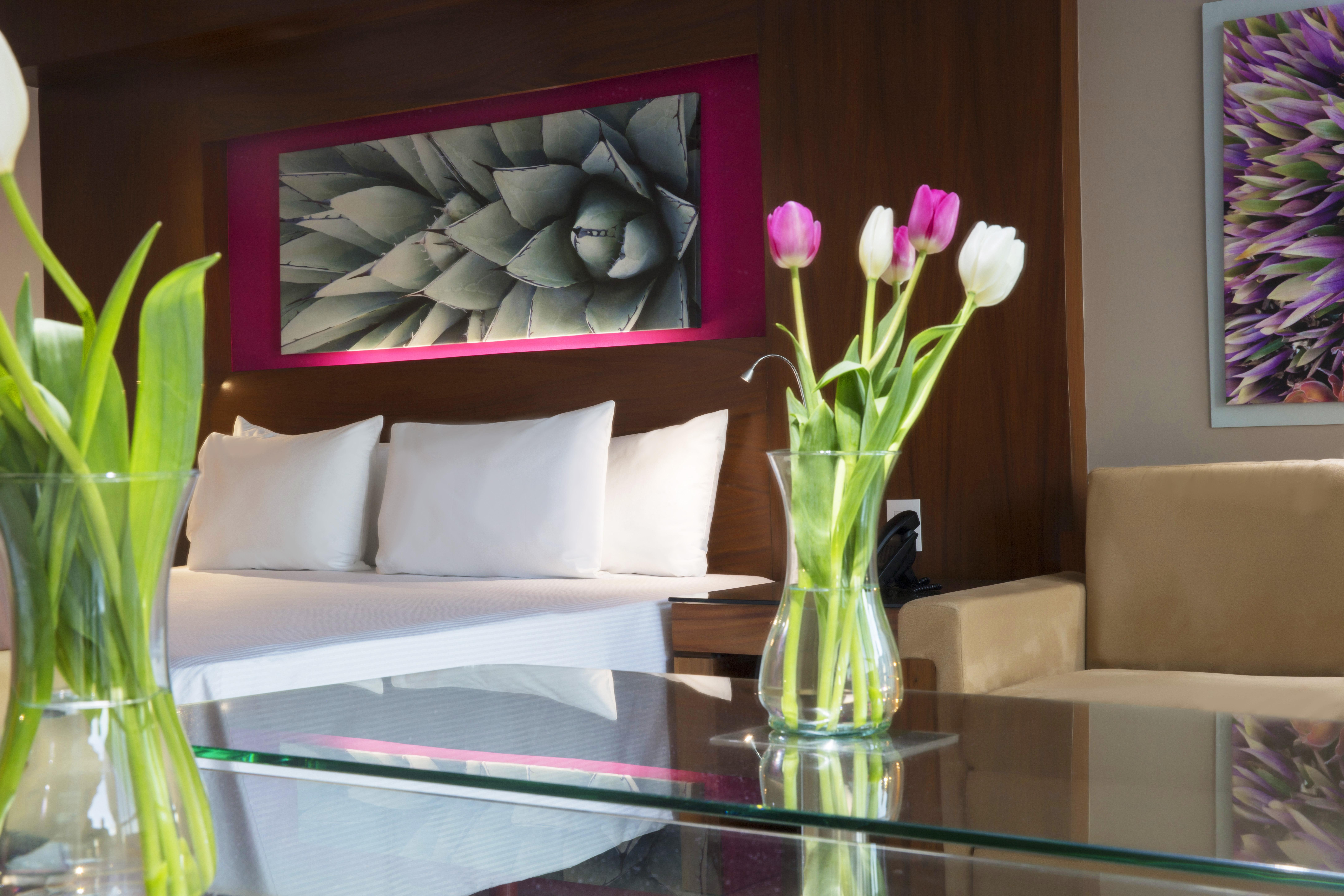 Krystal Grand Los Cabos San José del Cabo Dış mekan fotoğraf